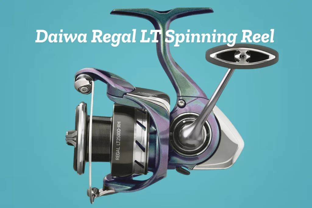 6 Best Fishing Reels for Beginners and Experienced Anglers - Daiwa Regal LT Spinning Reel