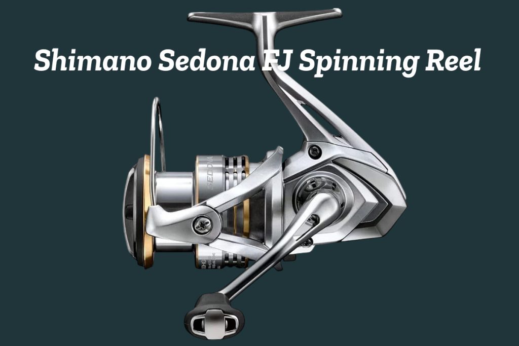 6 Best Fishing Reels for Beginners and Experienced Anglers - Shimano Sedona FJ Spinning Reel