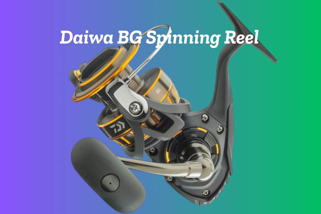 6 Best Fishing Reels for Beginners and Experienced Anglers - Daiwa BG Spinning Reel