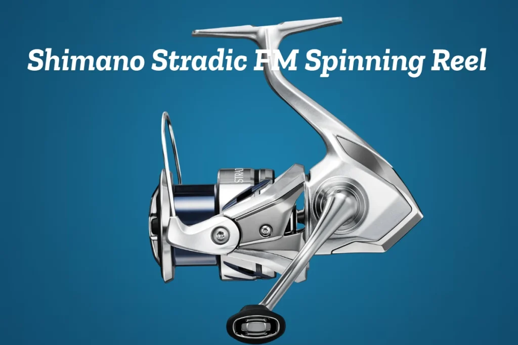 6 Best Fishing Reels for Beginners and Experienced Anglers - Shimano Stradic FM Spinning Reel