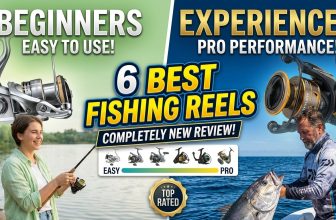 6 Best Fishing Reels for Beginners and Experienced Anglers – Which One Should You Buy?